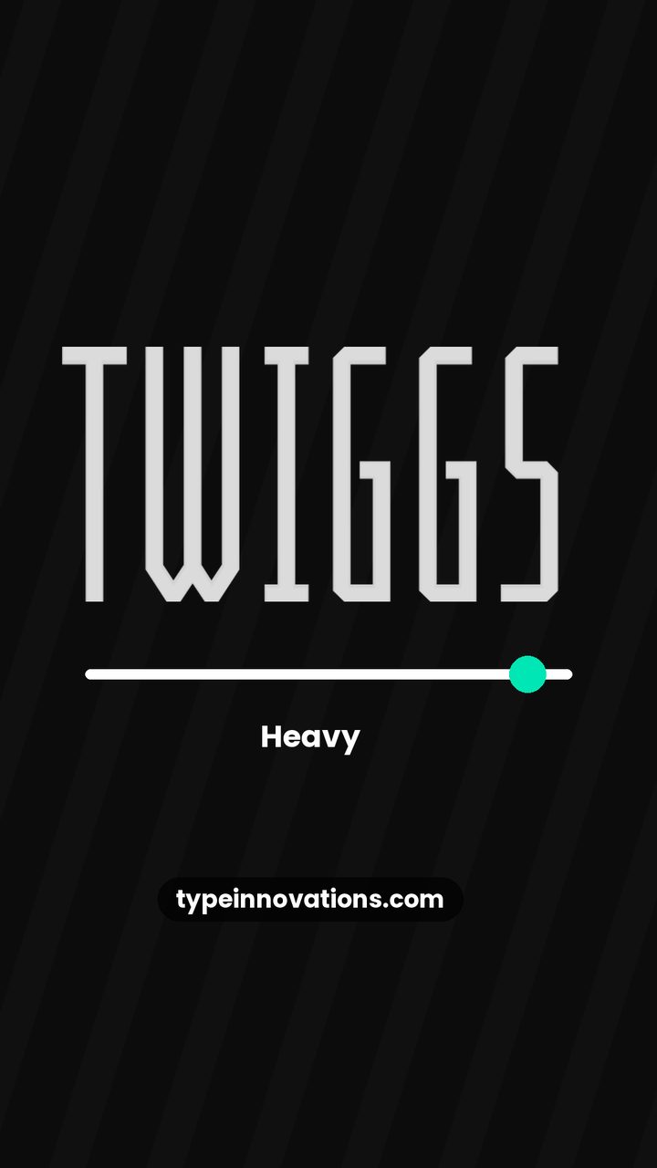 Mister Twiggs video still